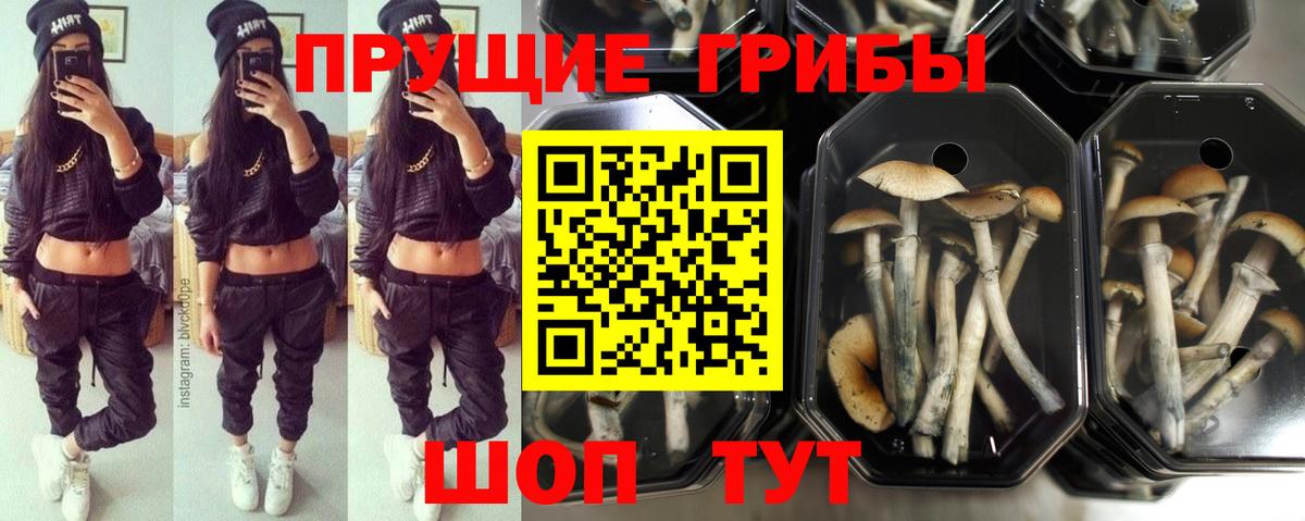 Псилоцибиновые грибы прущие грибы  цена наркотик  Подольск  Вход с VPN  Галлюциногенные грибы мухоморы 