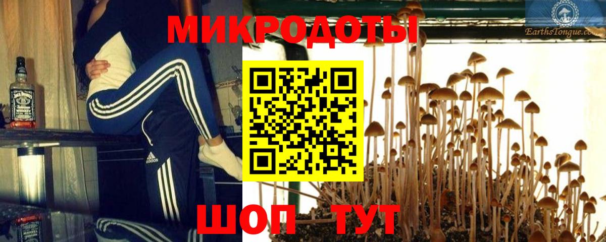 Галлюциногенные грибы Psilocybine cubensis Подольск